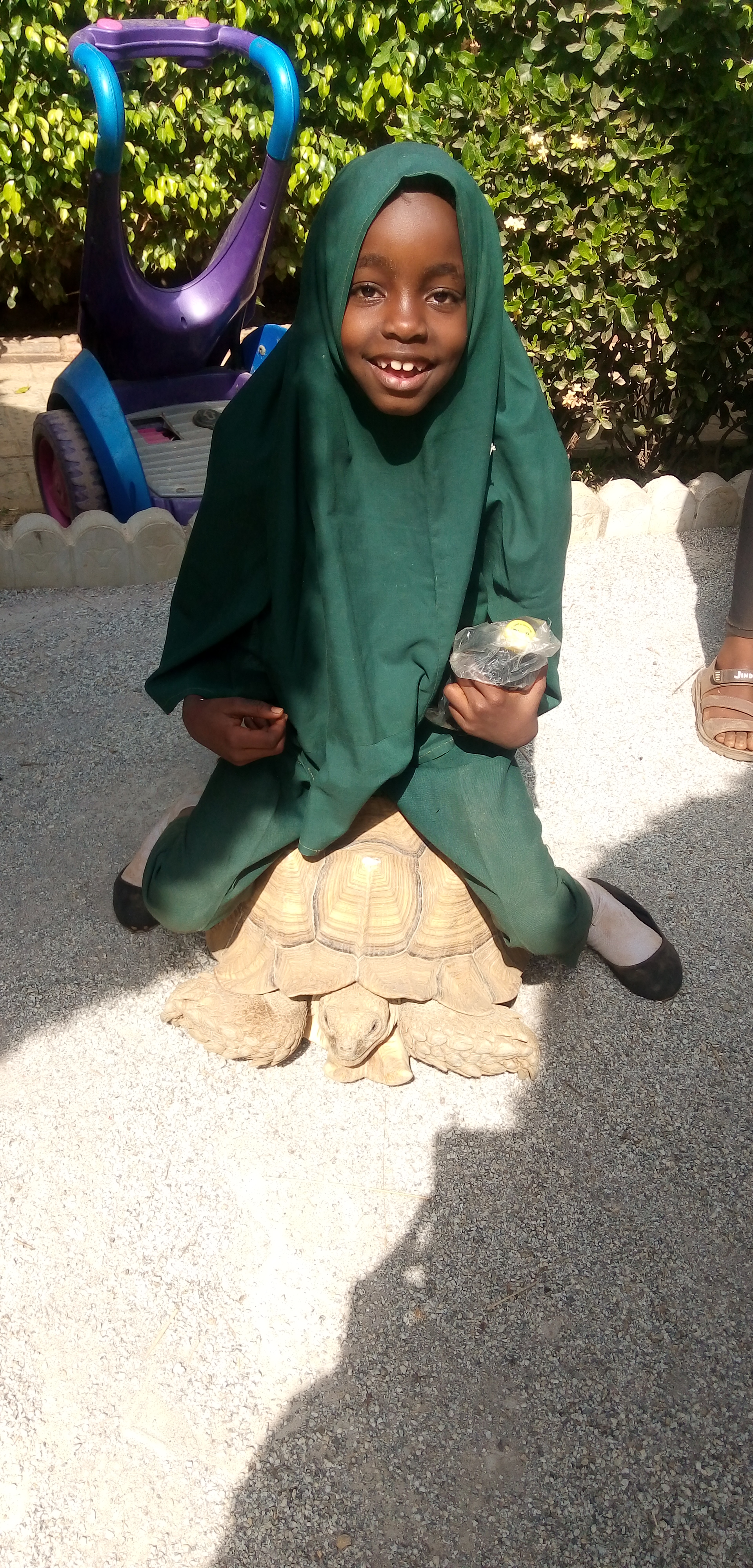 pupil sitting on a tortoise