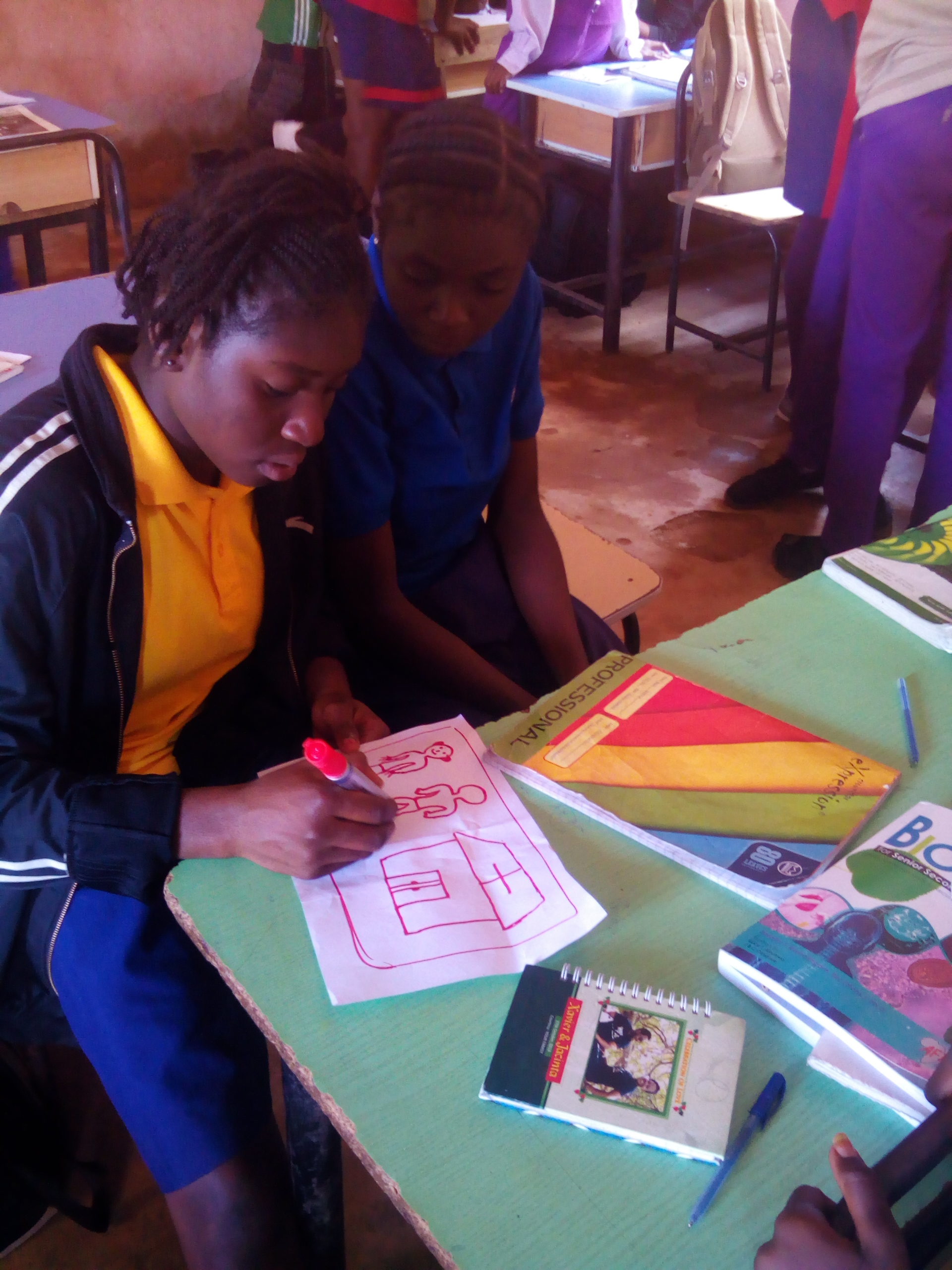 two female students drawing a country daigram